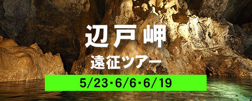 辺戸岬遠征ダイビングツアー
