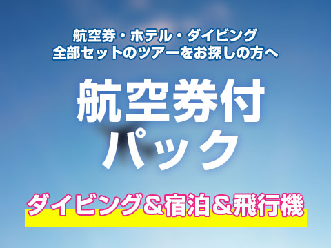 宿泊・飛行機・ダイビング付ツアー