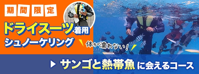 ドライスーツ着用シュノーケリング・サンゴと熱帯魚に会える
