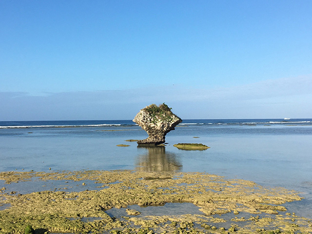 きのこ岩