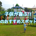 子供が喜ぶ沖縄スポット