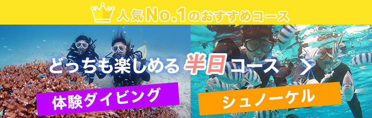 半日コース